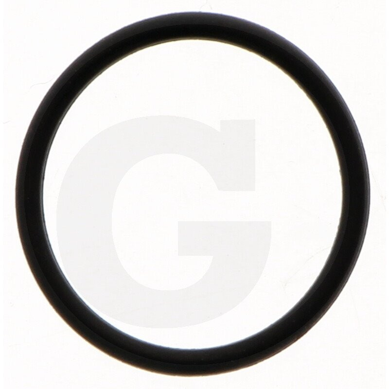 Hardi 241894 O-ring