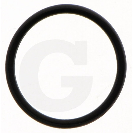 Hardi 241894 O-ring