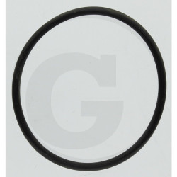 Hardi 242196 O-ring