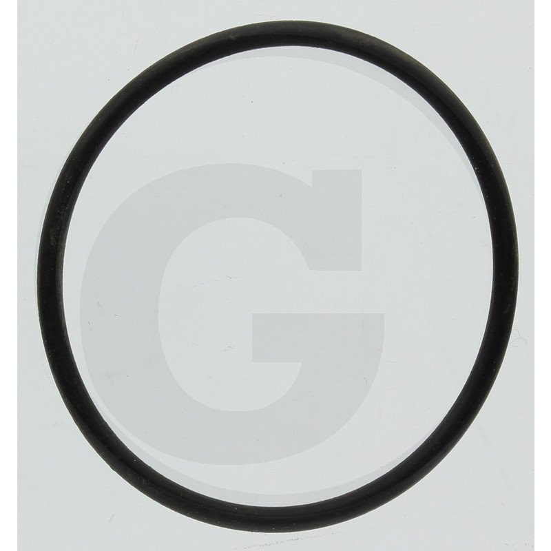 Hardi 242196 O-ring