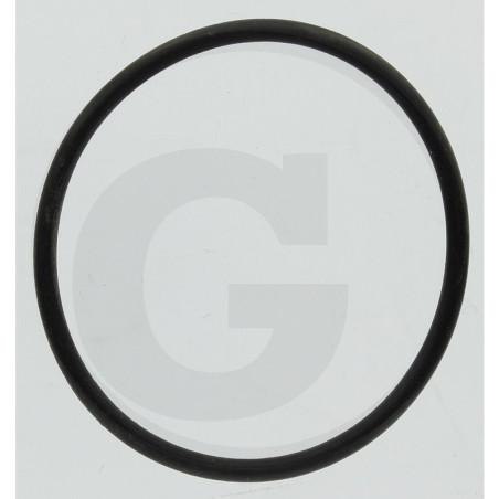 Hardi 242196 O-ring