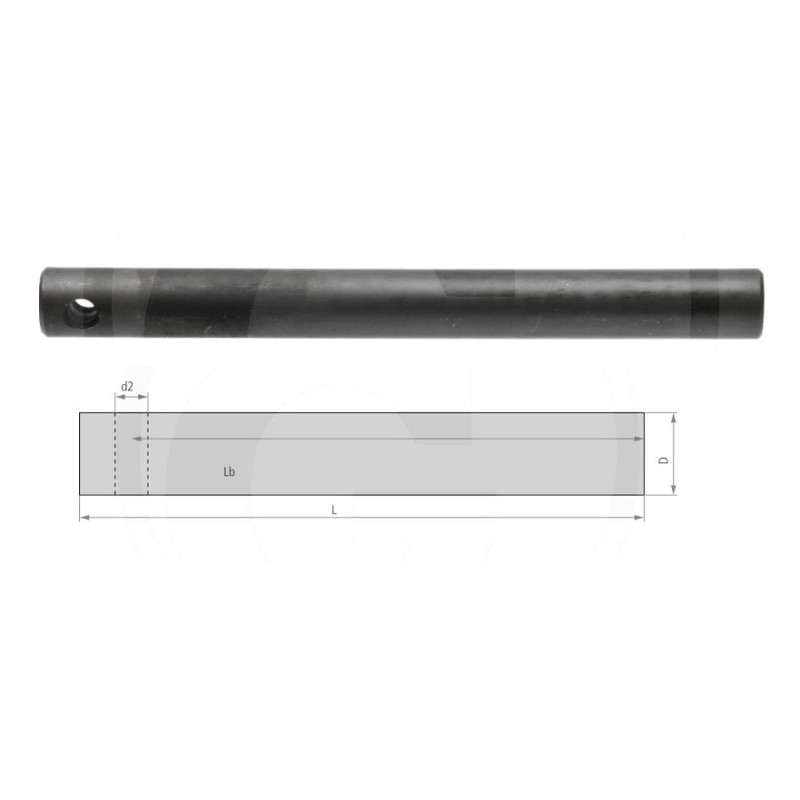 Sworzeń