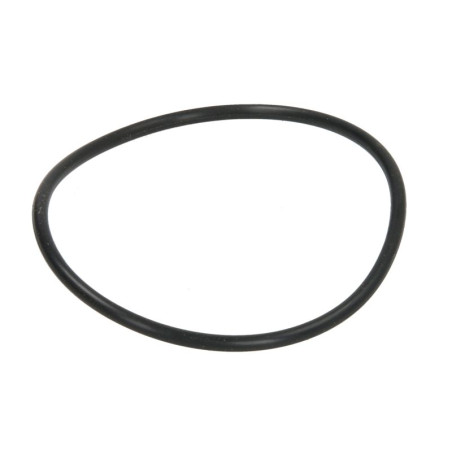 Carraro 028205