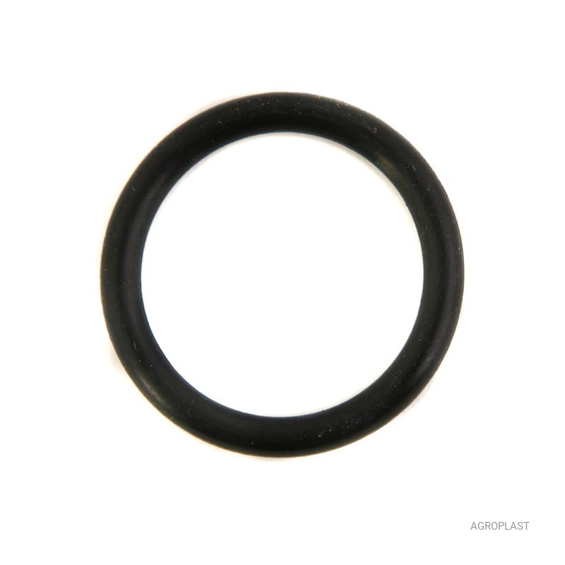 Oring zaworu pompy