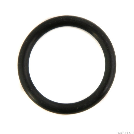 Oring zaworu pompy