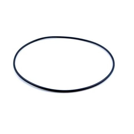 Oring 828/00369