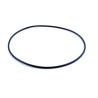Oring 828/00369