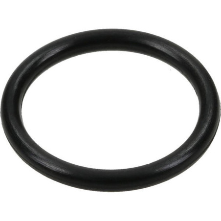 Oring 828/00236 (10szt)
