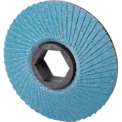 Tarcza płatkowa