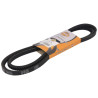 JCB 01/124404 Pasek wieloklinowy Anac