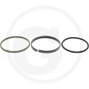Fendt23F931860030060 Zestaw uszczelek dla tłoka z cylindra wyciskowego4059139429240