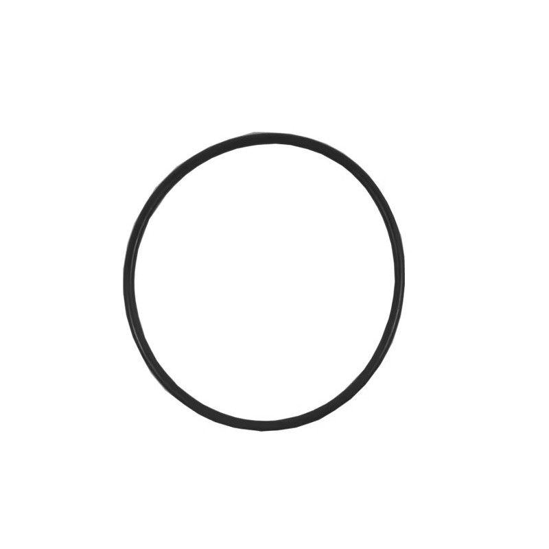 Oring 170x5 90 Shore (160-15) 