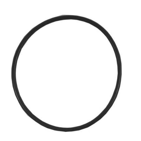 Oring 170x5 90 Shore (160-15) 