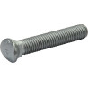 Śruba planetarna M10x60mm