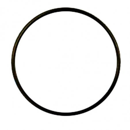 Hypro 1720-0294 Oring (8)