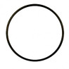 Hypro 1720-0294 Oring (8)