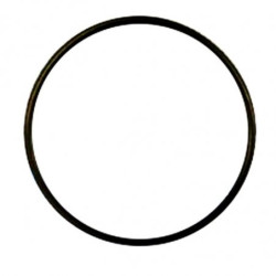 Hypro 1720-0294 Oring (8)