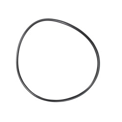 Hypro 1720-0292 Oring (5)