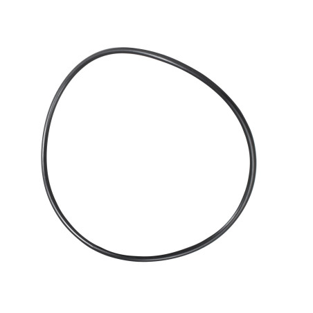 Hypro 1720-0292 Oring (5)