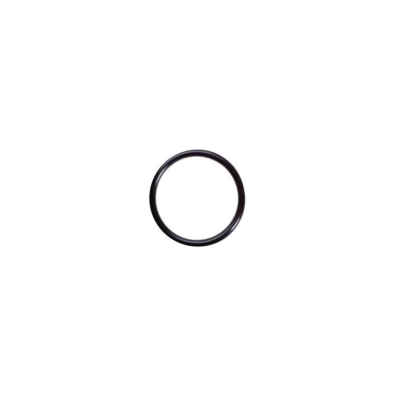 Hypro 1720-0230 Plug O-ring (4)
