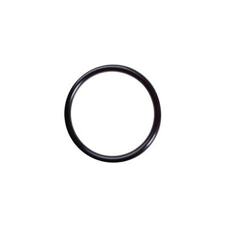 Hypro 1720-0230 Plug O-ring (4)