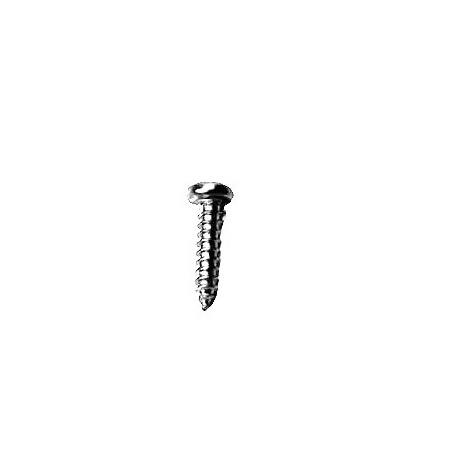 Hypro 2210-0145 Diffuser Mounting Screw (short) (8)