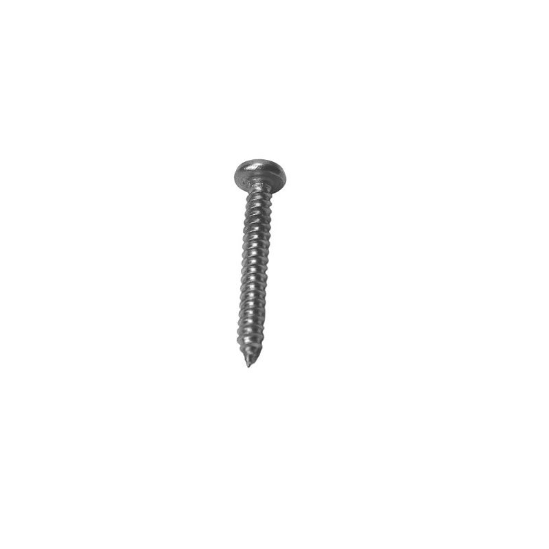 Hypro 2210-0144 Diffuser Mounting Screw (long) (9)