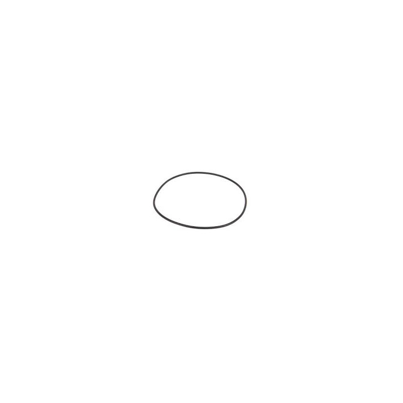 Hypro 1720-0244 Pump Body O-ring (17)