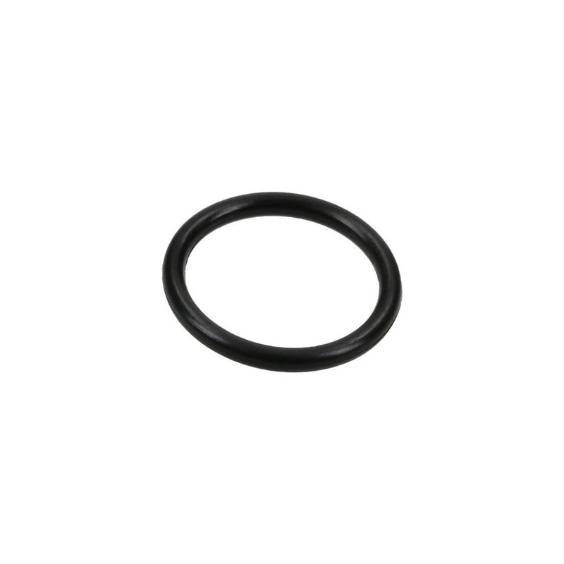 Hypro 1720-0013 O-ring (21)