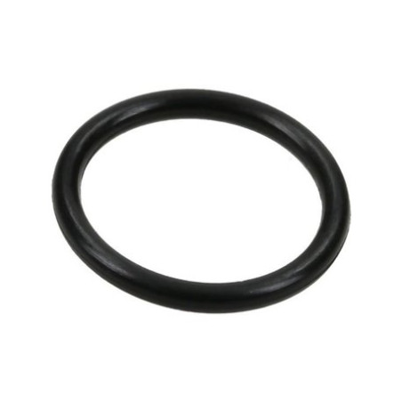 Hypro 1720-0013 O-ring (21)