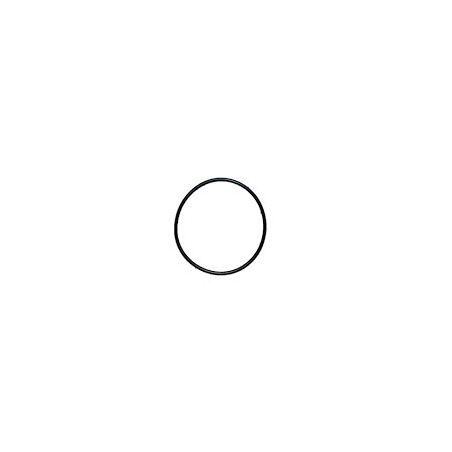 Hypro 1720-0268 Oring (16)