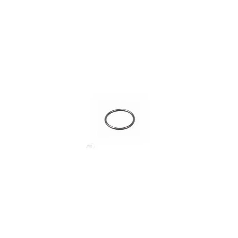 Hypro 1720-0262 Oring (37)