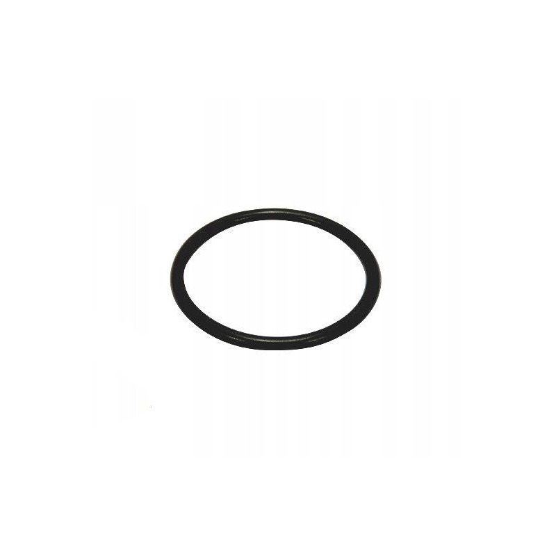 Hypro 1720-0209 Oring (10)