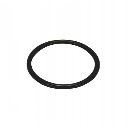 Hypro 1720-0209 Oring (10)