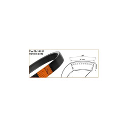 Pasek 36x14x1720 Harvest Belts