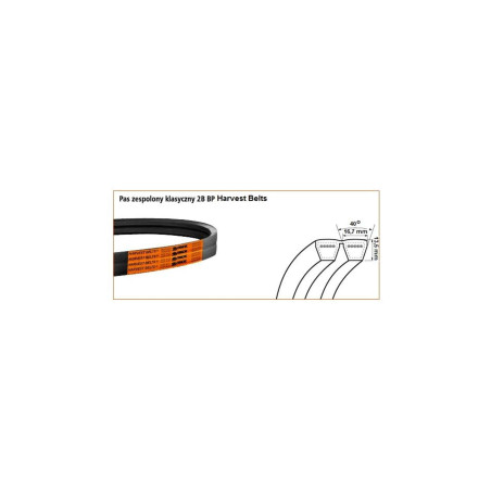 Pasek 2B BP/H 3550 Harvest Belts