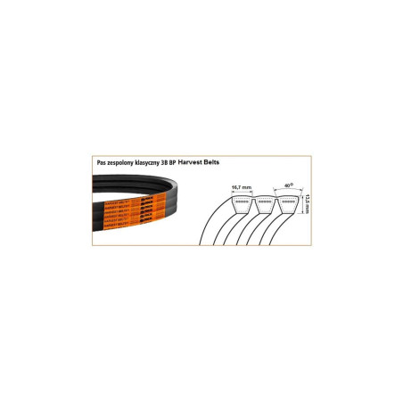 Pasek 3B BP/H 3620 Harvest Belts
