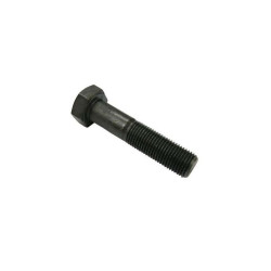 Śruba M12x1.25x55