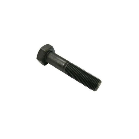 Śruba M12x1.25x55