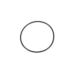 Oring 55x2