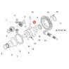Carraro 116928