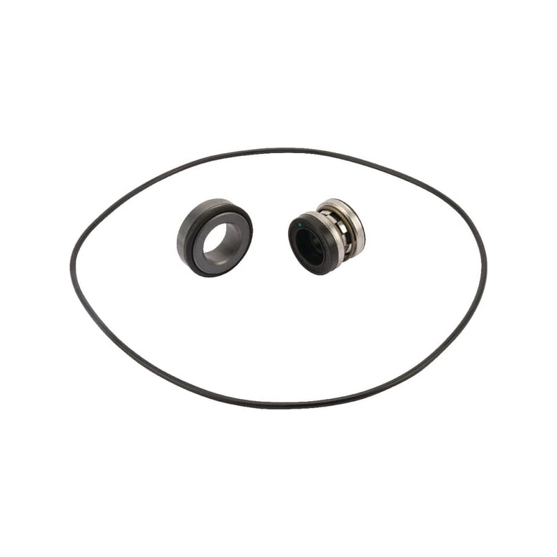 Hypro 3430-0589 Uszczelnienie mechaniczne (Silicon Carbide) (Std. 9303S, 9306S) (7)