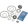 Hypro 3430-0748 Zestaw uszczelek silnika 2500- Hypro