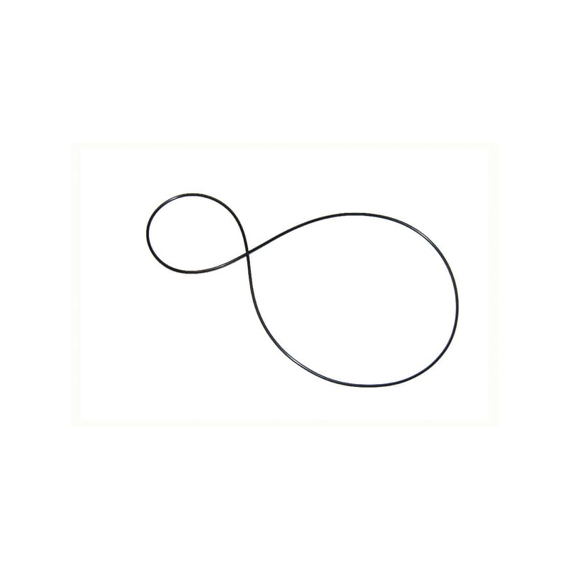 O-Ring +O-ring OE specific