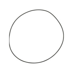 Pierścień samouszczelniający X549033600000 Fendt 23-X549033600000G