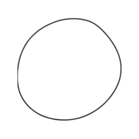 Pierścień samouszczelniający X549033600000 Fendt 23-X549033600000G