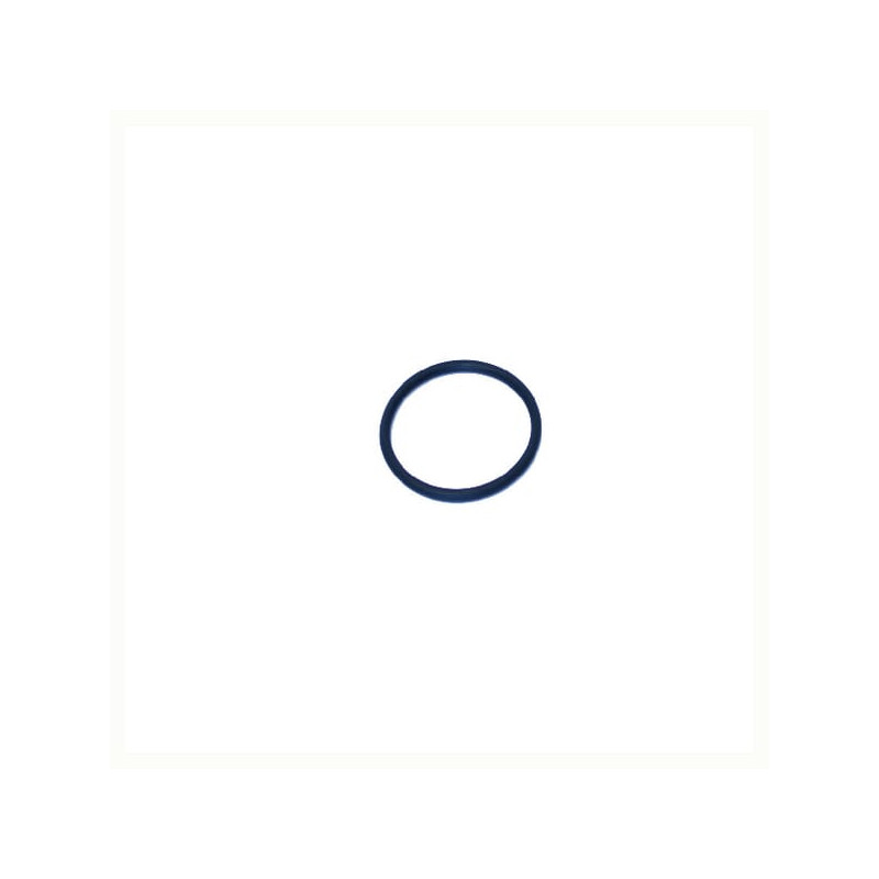 O-Ring +O-ring OE specific