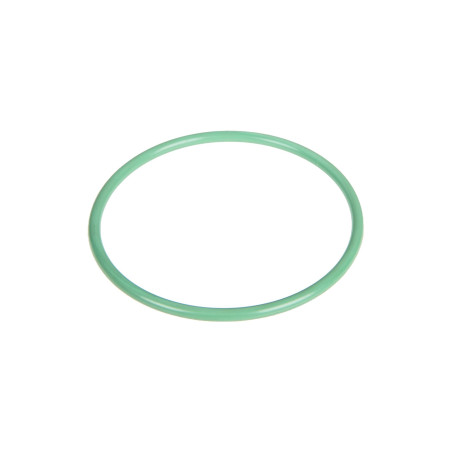 Oring (F934201510030)
