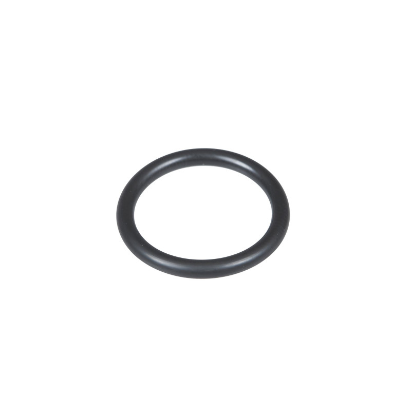 Oring (X548857366000)