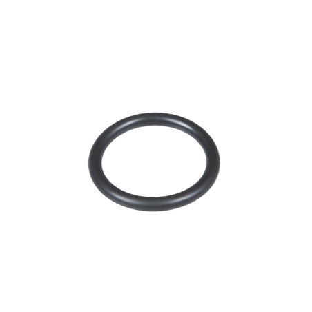 Oring (X548857366000)